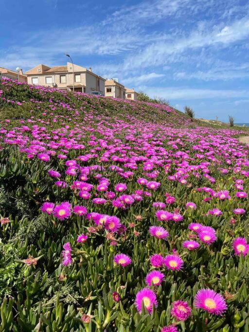 Ferienwohnung Miramar V Torrevieja Buitenkant foto
