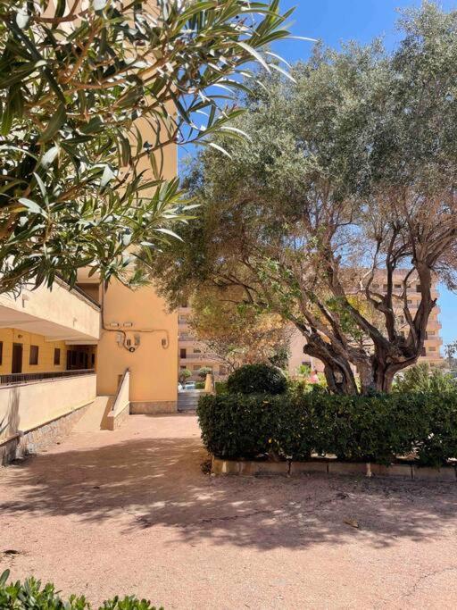 Ferienwohnung Miramar V Torrevieja Buitenkant foto